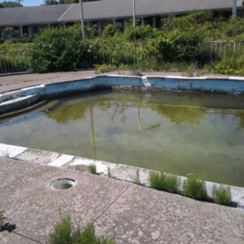 Sloth (USA-2) : Best Vacation Ever 2